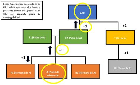 Organigrama Analitico Que Es Definicion Y Concepto 2021 Economipedia Images