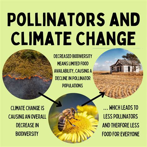 Pollinator Facts P2c