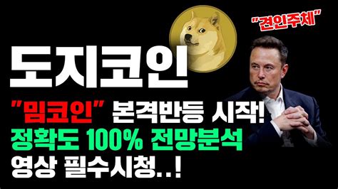 도지코인 긴급 밈코인 본격반등 시작 정확도 100 전망분석 영상 필수시청 코인시황 Youtube