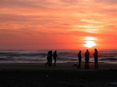 Beach At Sunset In Zandvoort Free Image Download