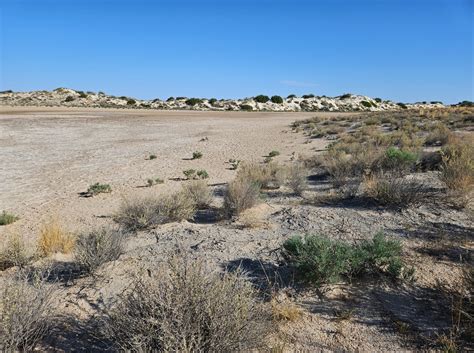 White Sands National Park Tour