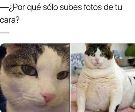 Por Qu S Lo Subes Fotos De Tu Cara Memes