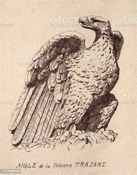 Sketch Of A Roman Eagle After A Statue On Trajans Column Art Print