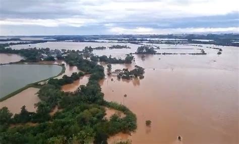 Cuánta Soja Está En Riesgo Por Las Lluvias Excesivas De Brasil Las