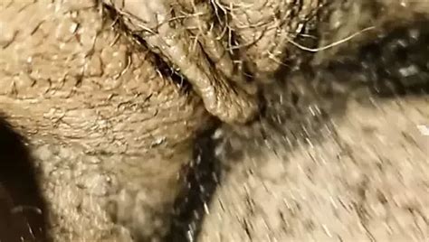 Free Good Black Pussy Porn Videos XHamster