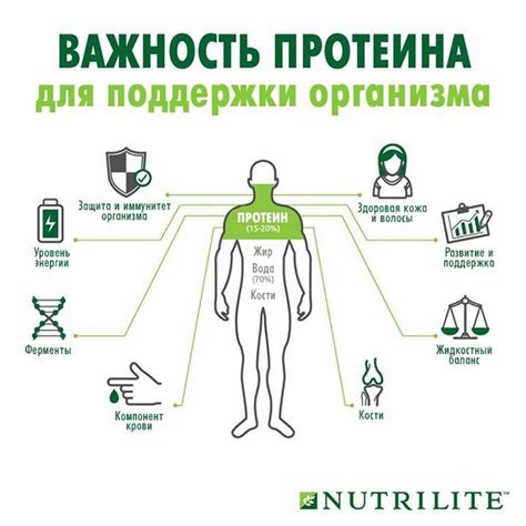Протеины – важнейший элемент для роста и развития. В организме около 5 ...