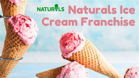 Naturals Ice Cream Franchise Cost, Profit & Applying process in 2023