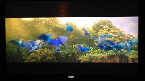 Rio 2 Beautiful Creatures YouTube