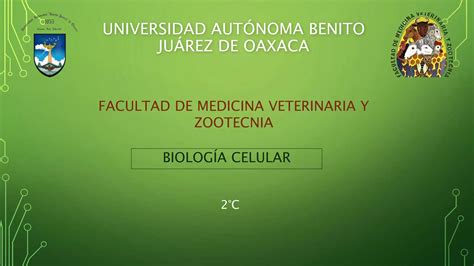 Célula vegetal Cloroplastos biología celular.pptx