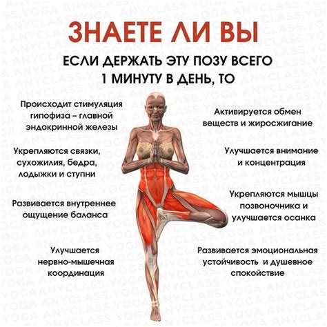 Легкая йога 🟢 Онлайн-курс (@anyclass.bodymind) • Фото и видео в ...