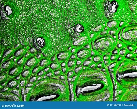 Green Alligator Skin Texture Stock Image - Image of exotic, leather ...