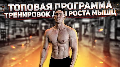 Базовые упражнения для набора мышечной массы, базовые упражнения в ...