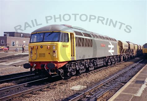 Rail Photoprints Class 56 56037 Reading 1985 Rpcml260