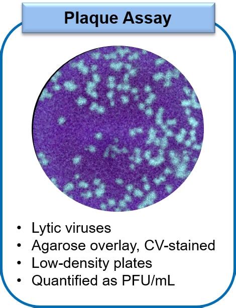 Virology TekTalk Newsletter