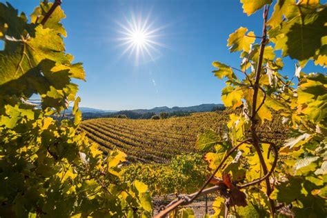 The Best Places to See Fall Colors in Napa Valley - The Visit Napa ...