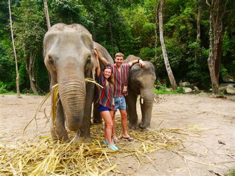 Updated Elephant Jungle Sanctuary Phuket