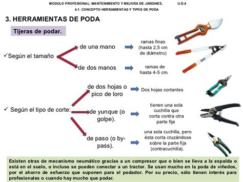 Guía de selección de la herramienta de poda adecuada En todocultivo