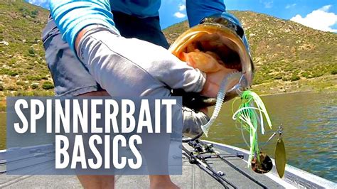 5 Must Know Tips for Spinnerbait Fishing - YouTube