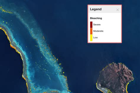 The Allen Coral Atlas Introduces The First Comprehensive Map Of Shallow