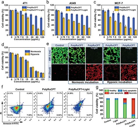 Cell Viability Of A 4T1 B A549 And C MCF7 Cells Treated With