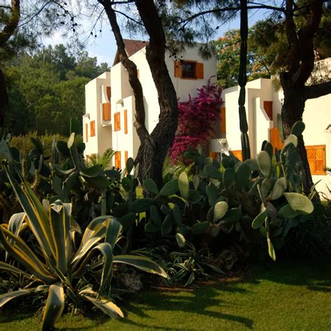 Palmiye Turkey | All-Inclusive Resort | Club Med
