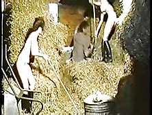 Stacey Owen Nude Pornstar Search 53 Results