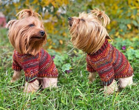 DOG SWEATER Pattern Crochet Sweater for Small Dogs PDF Dog - Etsy