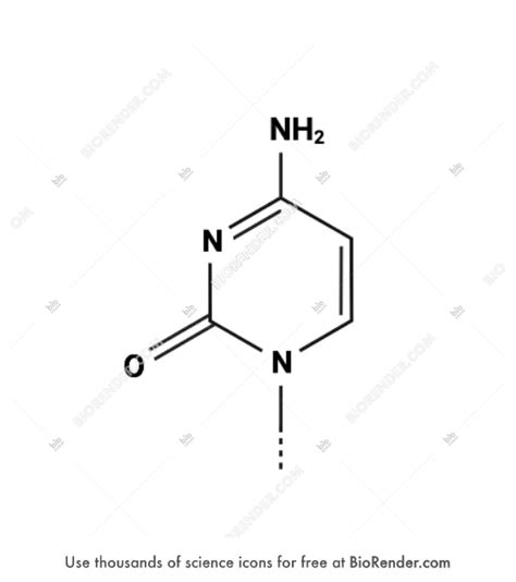 Free Cytosine (structural formula) Icons, Symbols & Images | BioRender