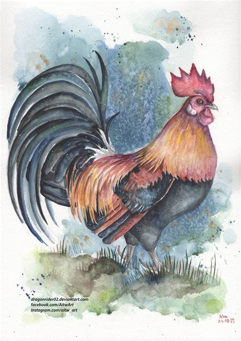 Rooster watercolor by DragonRider02 on DeviantArt