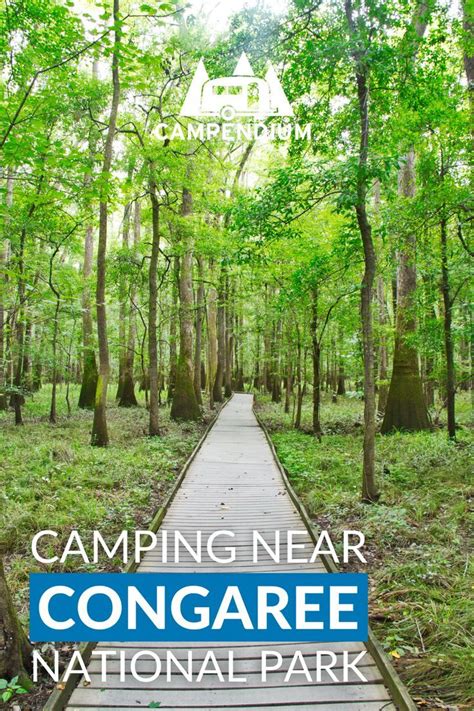 Camping near congaree national park – Artofit