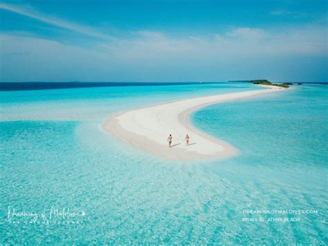 Dhigurah Maldives A Beautiful Island To Swim With Whale Sharks