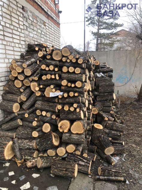 Части деревьев породы «дуб монгольский» швырки (чурки) - торги №350983