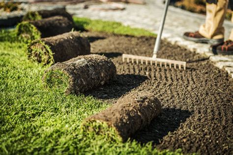 Sod Installation King Lawns