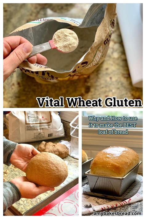 What Is Vital Wheat Gluten Artofit