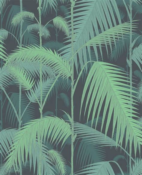 🔥 [50+] Palm Frond Wallpapers | WallpaperSafari