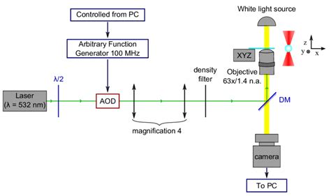 Schematic Representation Of Our Optical Tweezers Set Up With One