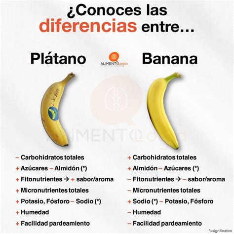 Estas son las Diferencias entre PLÁTANO CANARIAS vs BANANA Alimentologia