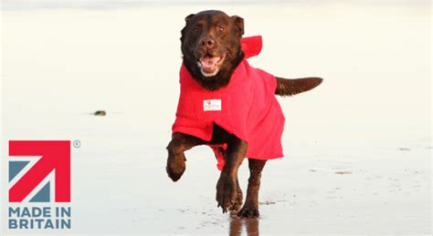 Indulge Your Dog In Comfort And Style Discover The Finest British Made