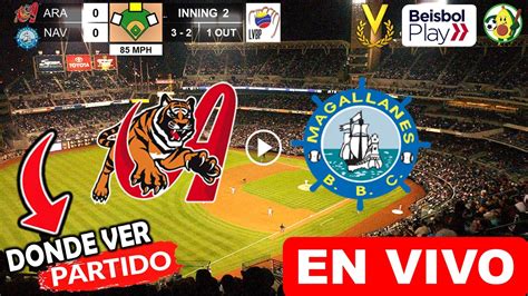 Tigres Vs Magallanes En Vivo Donde Ver Y A Que Hora Juega Tigres De