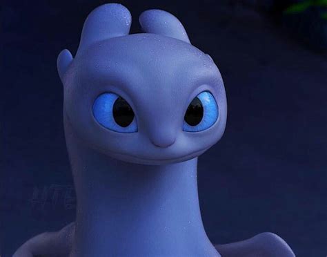 Furia Luminosa Fandom