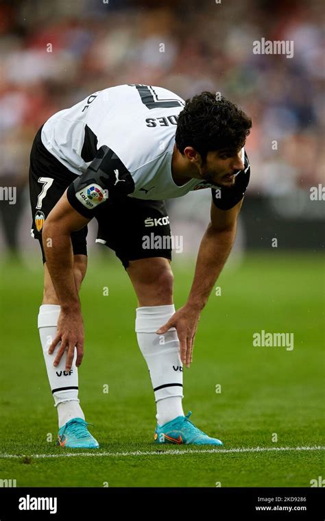 Goncalo Guedes Hi Res Stock Photography And Images Alamy