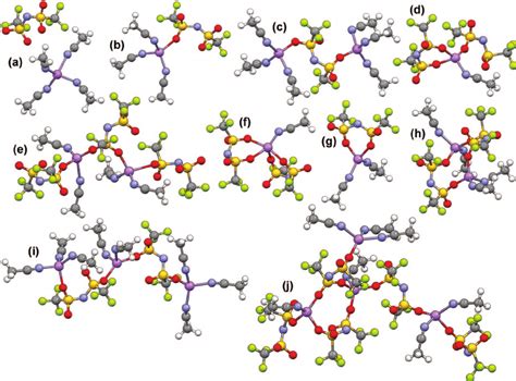 Representative Li Cation Solvate Species I E Coordination Shells