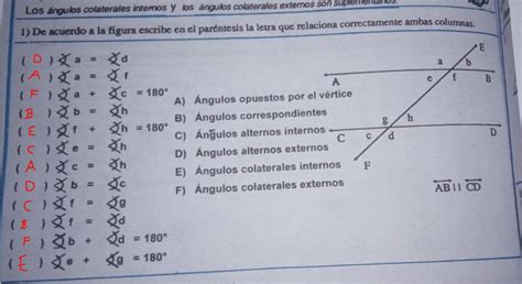 De Acuerdo A La Figura Escribe En El Par Ntesis La Letra Que Relaciona