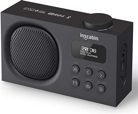 Inscabin P2 Radio numérique Portable Dab Dab FM Haut Parleur sans Fil