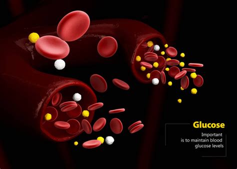 Glucosio nel sangue Bilder, Stockfotos und Bilder zum Thema Glucosio ...
