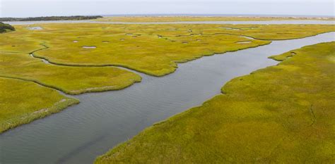 From mangroves to fjords, coastal ecosystems can take up or emit greenhouse gases. But globally ...