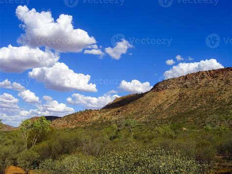 Australian Outback Landscape Bush Vegetation In Dry Season With Red