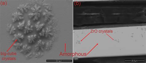 SEM images showing an amorphous matrix and some crystalline phases ... 