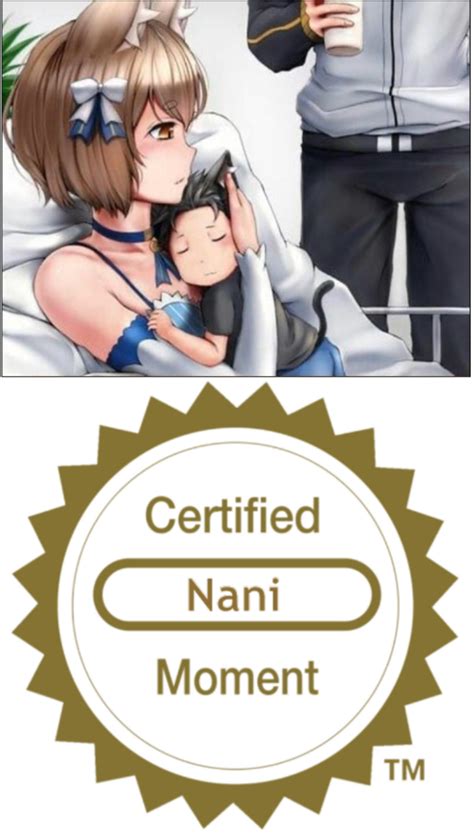 Nani The Actual Fuck R Goodanimemes