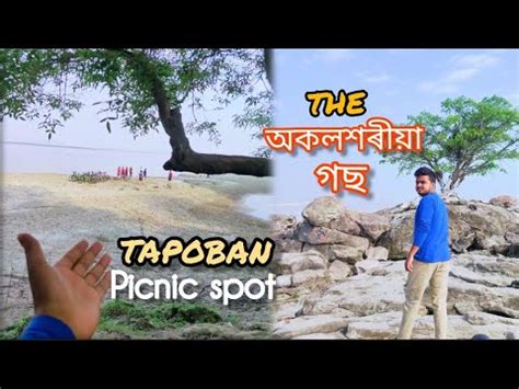 Tapoban Picnic Spot A Hidden Tree In Chandrapur Kangkanvlogs